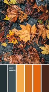The combo library provides a convenient way to search brown color schemes. Steel And Autumn Leaf Colour Scheme Colour Palette 117 1 Fab Mood Wedding Colours Wedding Themes Wedding Colour Palettes