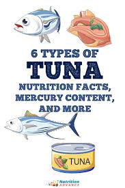 7 types of tuna nutrition benefits