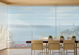 cleaning silhouette window shadings