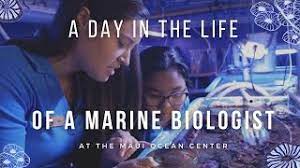 life of a marine biologist in hawaii
