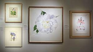 modern masterpieces of botanical art