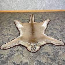 mountain lion full size rug mount