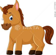cute horse cartoon stock ilration