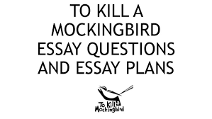 To Kill a Mockingbird Essays   GradeSaver