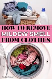 how to get rid of mildew smell only 1