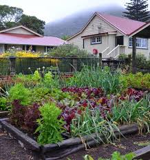 Gardening Build A Bed For Summer Veges