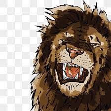 angry lion png vector psd and
