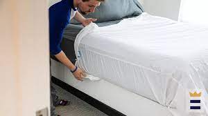 best bed bug mattress cover fox31 denver