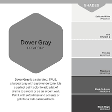 Dover Gray Satin Interior Paint Sample