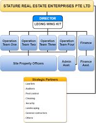 Stature Real Estate Enterprises Pte Ltd Organization Structure