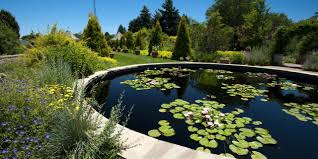 colorado botanical gardens tips and