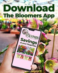 Bloomers Home Garden Center In