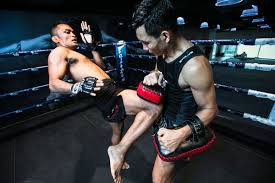 muay thai training gear you must have