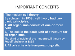 emergence of modern cell biology