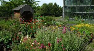 history of botanic gardens kiel