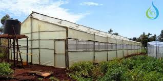 wooden greenhouse in kenya aqua hub