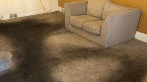 the best carpet cleaning in philadelphia pa