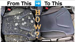 clean mold fungus from car interior
