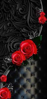 Red Rose Flowers Hd Phone Wallpaper