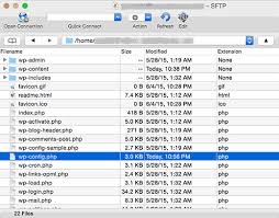 how to edit wp config php file in wordpress