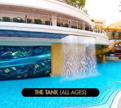 tank pool golden nugget las vegas