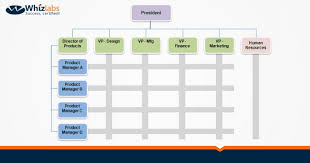 Matrix Organizational Structure A Complete Guide Whizlabs Blog