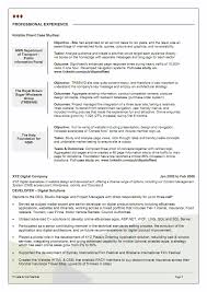 Software Engineer Resume Example      Free Word  PDF Documents     Template net