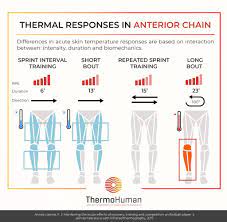 hiit thermal responses