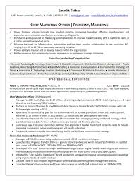The Top 4 Executive Resume Examples Written By A