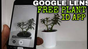 google lens a free plant identify app