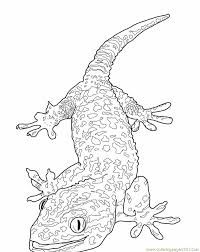 Maybe you would like to learn more about one of these? Tokay Gecko Lizard Coloring Page For Kids Free Lizard Printable Coloring Pages Online For Kids Coloringpages101 Com Coloring Pages For Kids