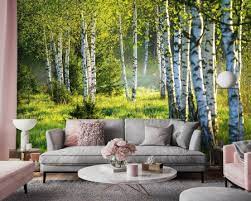 Nature Birch Forest Trees Grass Wall