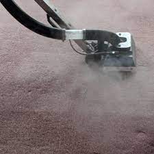 dshane professional carpet care
