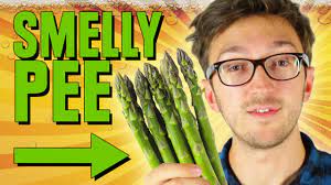 why does asparagus make your stink