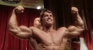 What Arnold Schwarzeneggers Classic Bodybuilding Diet