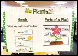 Plants Anchor Chart