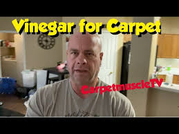 vinegar and carpet cleaning ph basics