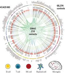 Multiple Sclerosis Genomic Map