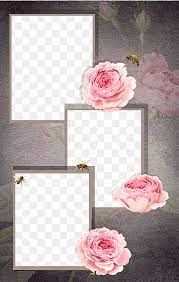 photo collage frame png images pngwing