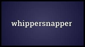 Image result for whippersnapper!