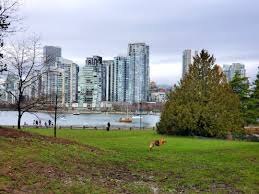 Vancouver international, vancouver coal harbour, vancouver boundary bay és abbotsford. Charleson Park Off Leash Dog Park Vancouver Bc