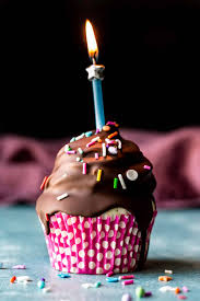 ultimate birthday cupcakes sally s