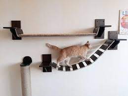 wall mounted cat furniture cat shelves