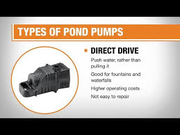 Best Pond Pumps For Your Garden The