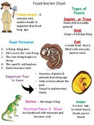 Fossils Anchor Chart