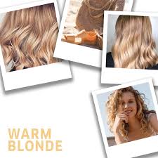warm blonde hair ideas formulas