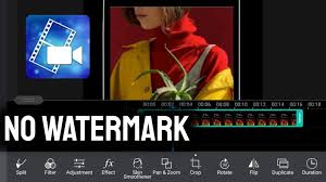 Tool skin pro apk has a lot of features. Powerdirector Pro Apk 8 1 0 Mod Without Watermark Download 2021