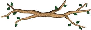 Image result for tree branch divider