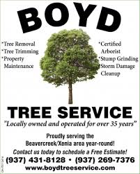 Maybe you would like to learn more about one of these? Certified Arborist Stump Grinding Strom Damage Boyd Tree Service