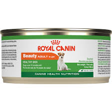 Royal canin dog food coupons 2021. Royal Canin Canine Health Nutritionadult Beauty In Gel Wet Dog Food 5 8 Oz Case Of 24 Petco
